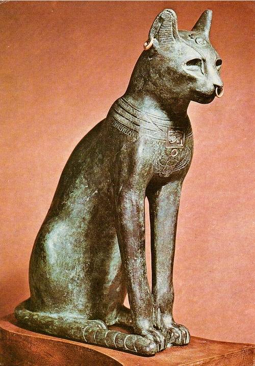 Кошки в древнем египте — википедия