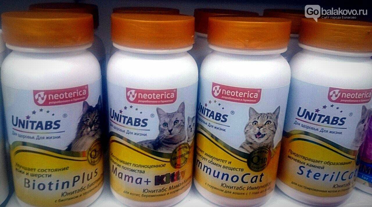 Какие человеческие витамины можно давать кошкам