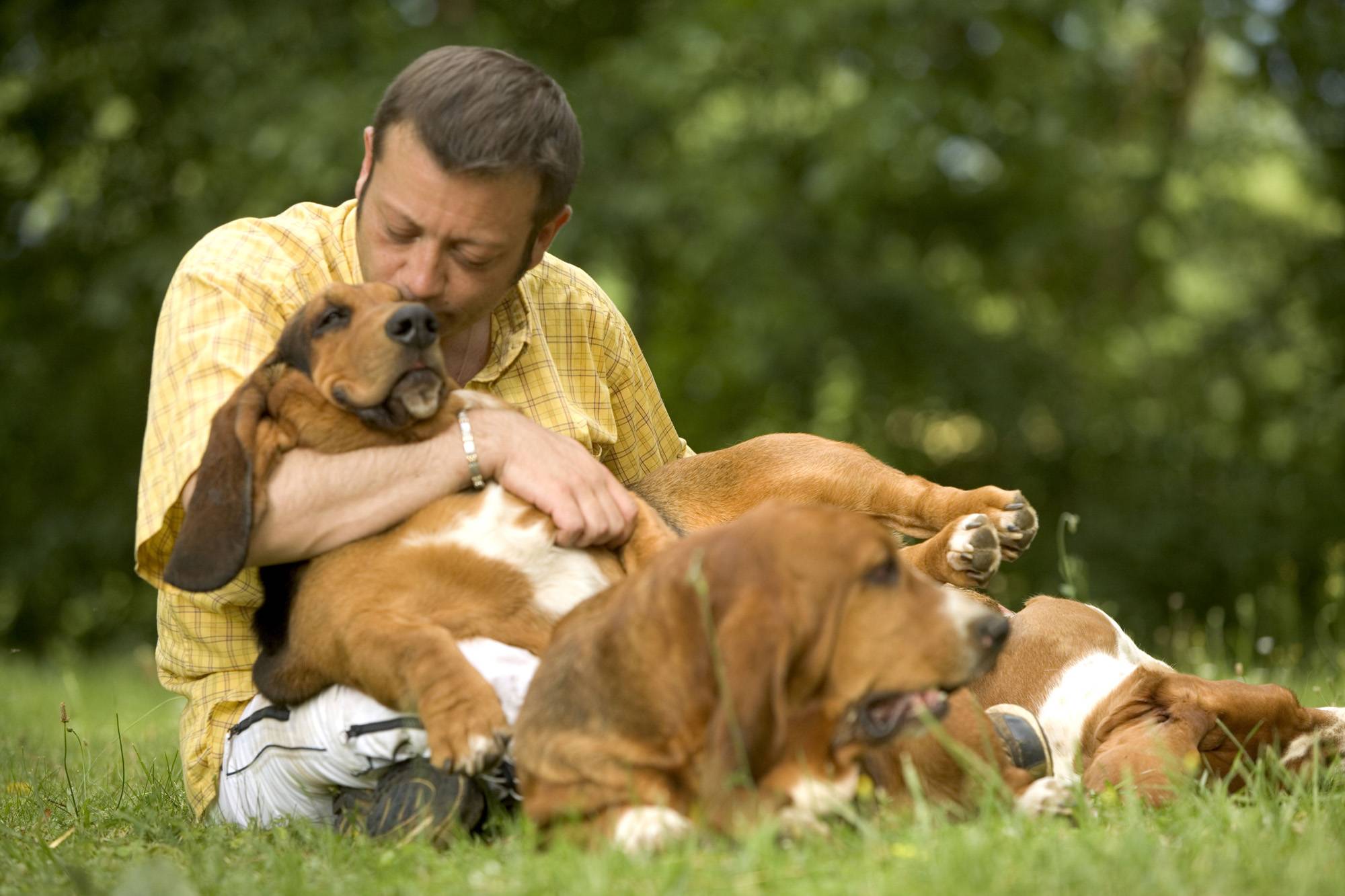 Собачья жизнь: как увеличить продолжительность жизни любимого питомца