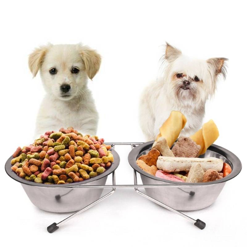 Как правильно кормить собаку сухим кормом: когда и как давать сухой корм