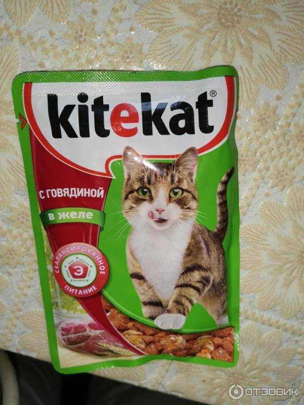 Популярный корм для кошек kitekat — полный обзор для владельцев