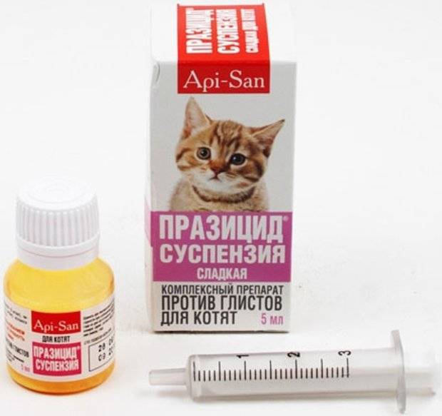 Празицид для кошек: инструкция по применению, действие, эффективность