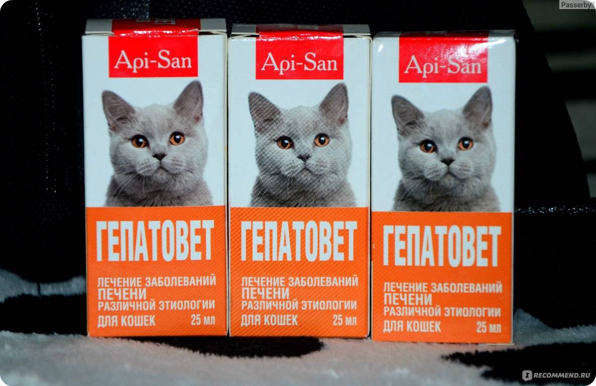 Гепатовет актив суспензия для кошек - купить, цена и аналоги, инструкция по применению, отзывы в интернет ветаптеке добропесик