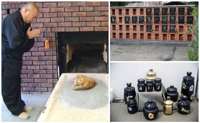 Кремация домашних животных в крематории москвы круглосуточно - стоимость кремации собаки или кошки
