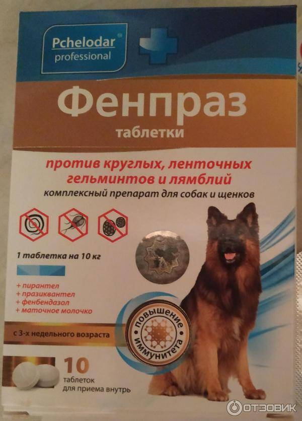 Пронефра (pronefra), препарат для лечения хпн у кошек и собак