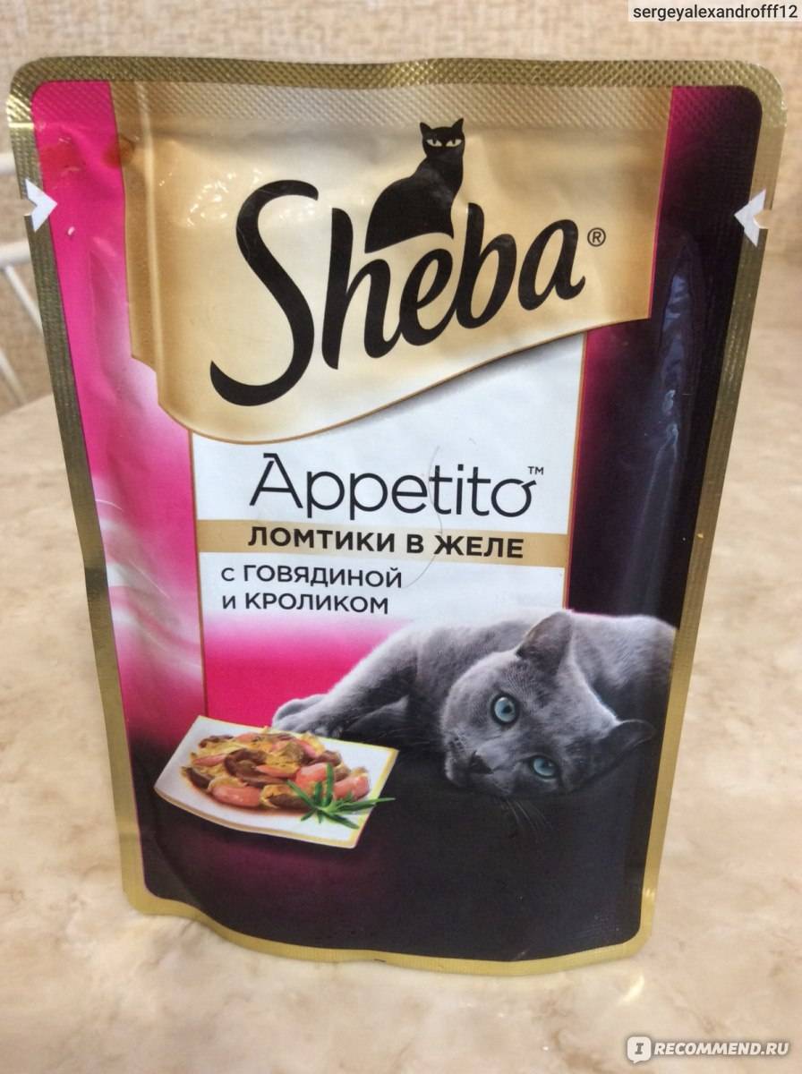 «шеба» (sheba) корм для кошек: обзор, состав, ассортимент, плюсы и минусы, отзывы ветеринаров и владельцев