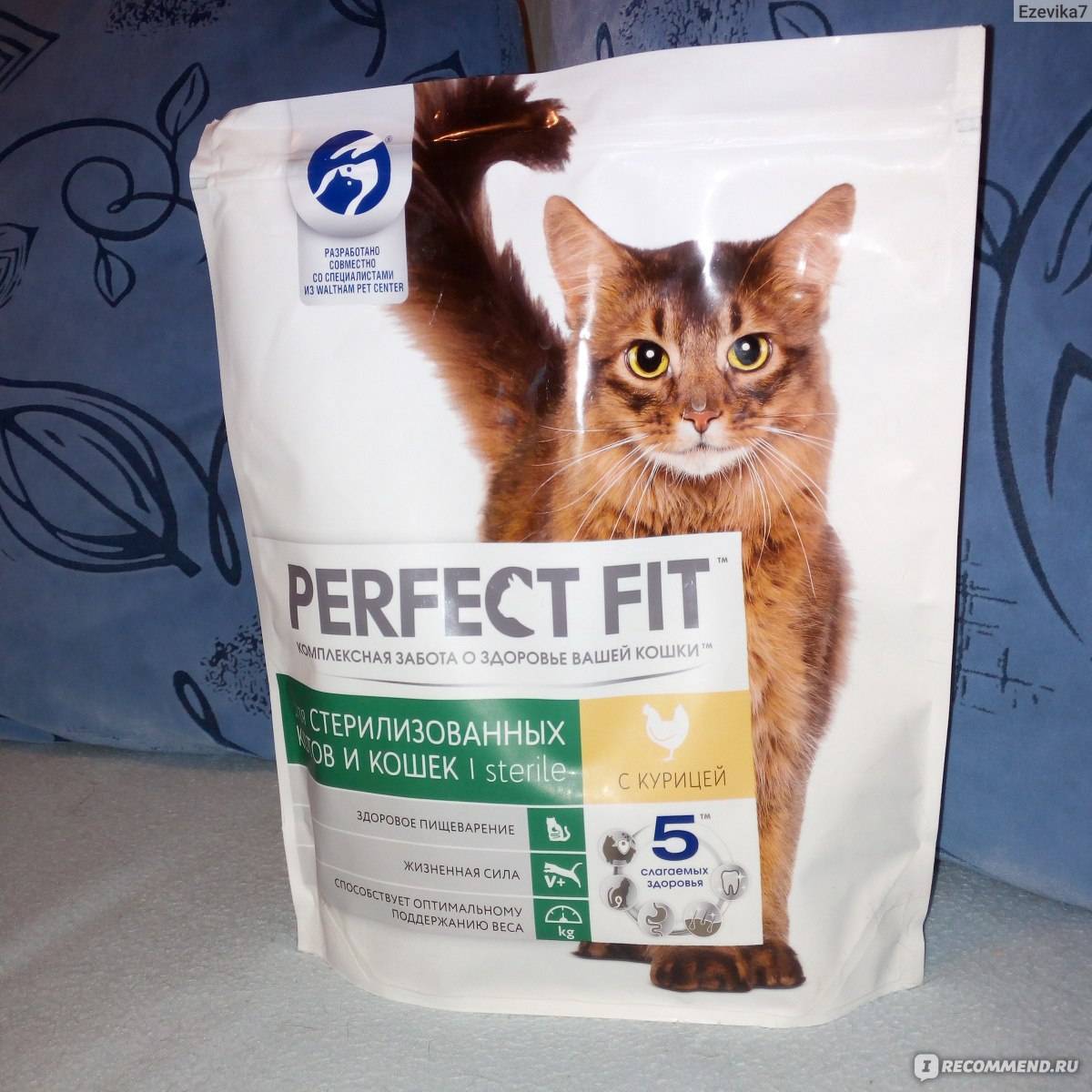 Корм для кошек perfect fit («перфект фит»): отзывы ветеринаров и владельцев животных о нем, его состав и виды, плюсы и минусы
