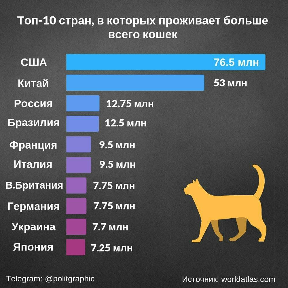 Самые большие собаки в мире ? - рейтинг топ 10