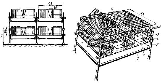 Как сделать клетку для кроликов своими руками: для декоративных, двухъярусную, из сетки, правильно и легко, чертеж