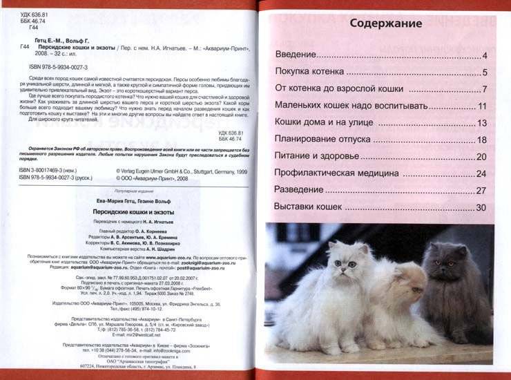 Персидская кошка  фото, описание персов, характер, уход, стандарты, вес, окрас, история, кормление