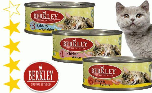 Обзор корма для кошек berkley (беркли): виды, состав, отзывы