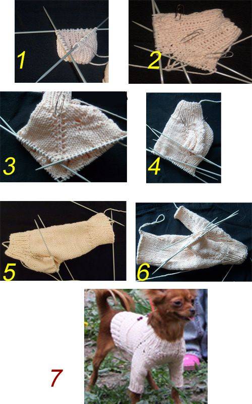 Как связать собаке свитер спицами для начинающих