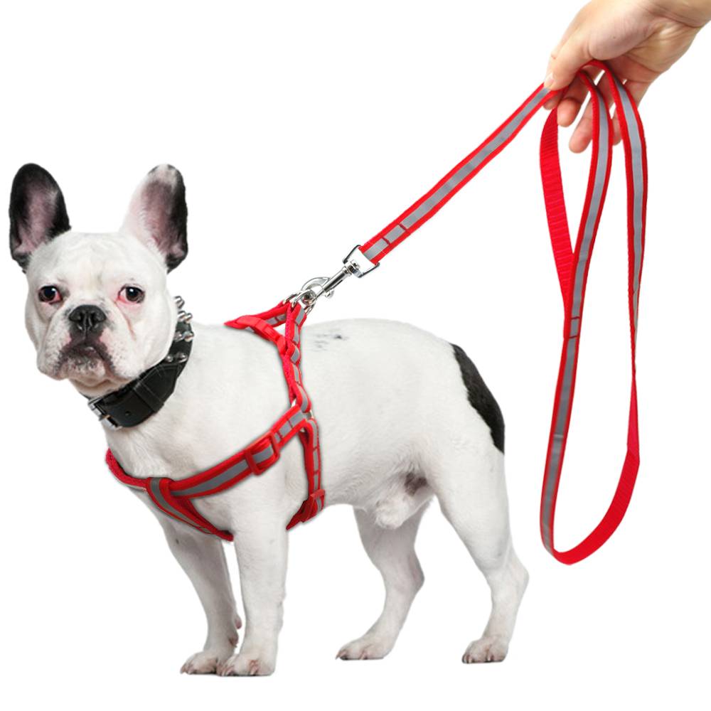 Шлейка для собак: удобный способ держать питомца на поводу