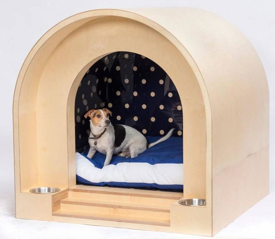 Лежаки и домики: самые необычные товары для собак