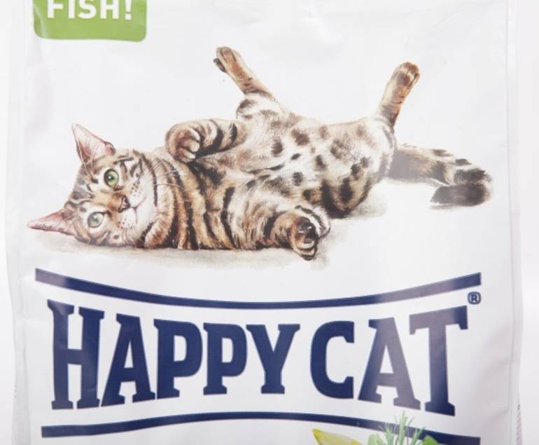 Влажный корм для кошек: виды корма, достоинства и недостатки, способы кормления