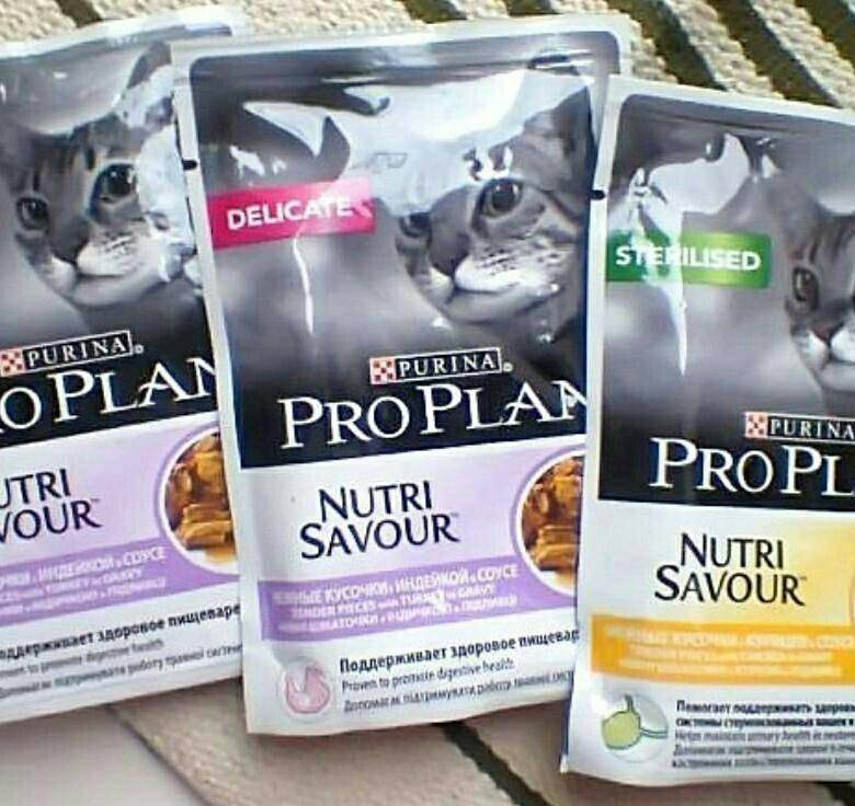 Обзор кормов для кошек “purina pro plan”