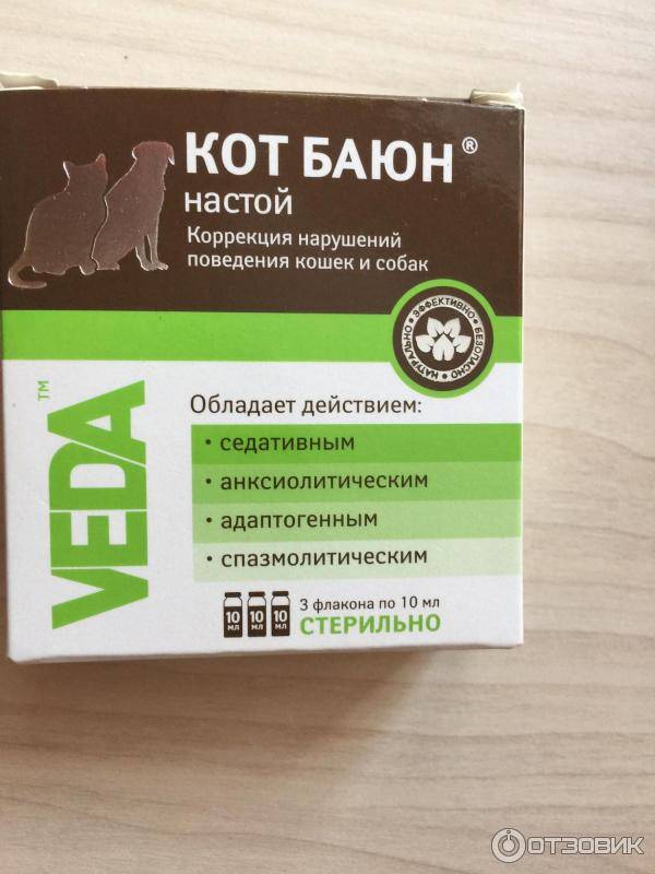 Кот баюн (настой) для котов, кошек и собак | отзывы о применении препаратов для животных от ветеринаров и заводчиков