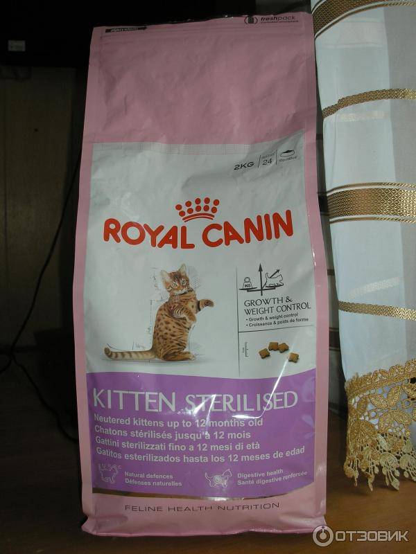 Состав корма "роял канин" для кошек и котят: обзор сухих и влажных продуктов разных линеек