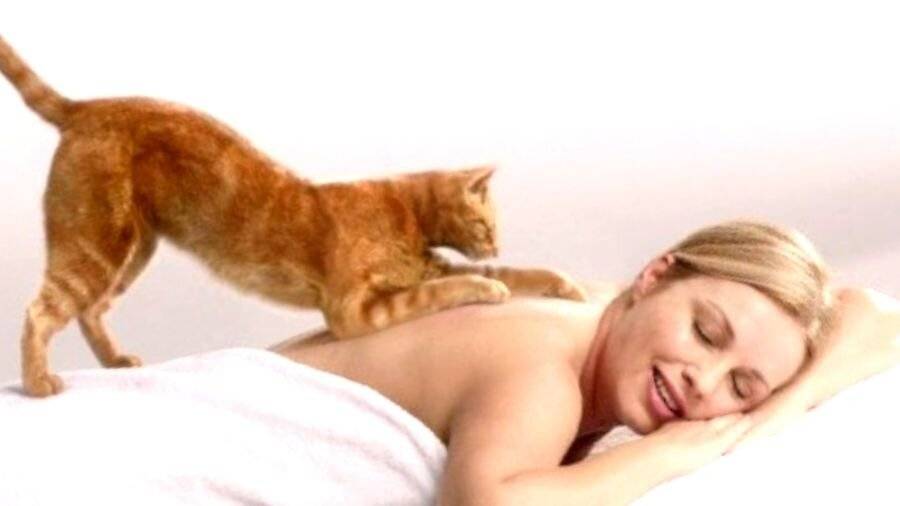 Кошачий "массаж" для хозяина