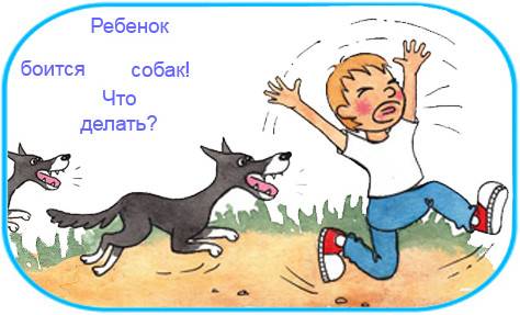 Что делать, если ребёнок боится собак и кошек