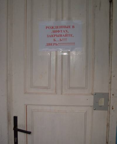 ᐉ кошка постоянно открывает дверь. что делать? - ➡ motildazoo.ru
