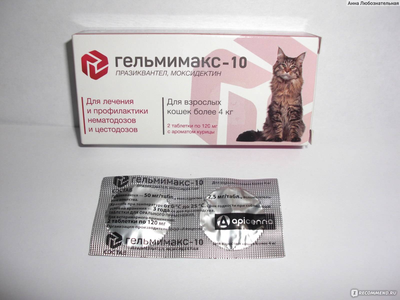 Каниквантел плюс для кошек - инструкция по применению препарата