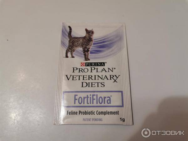 Фортифлора для кошек: инструкция по применению пробиотика, состав и отзывы ветеринаров и владельцев животных