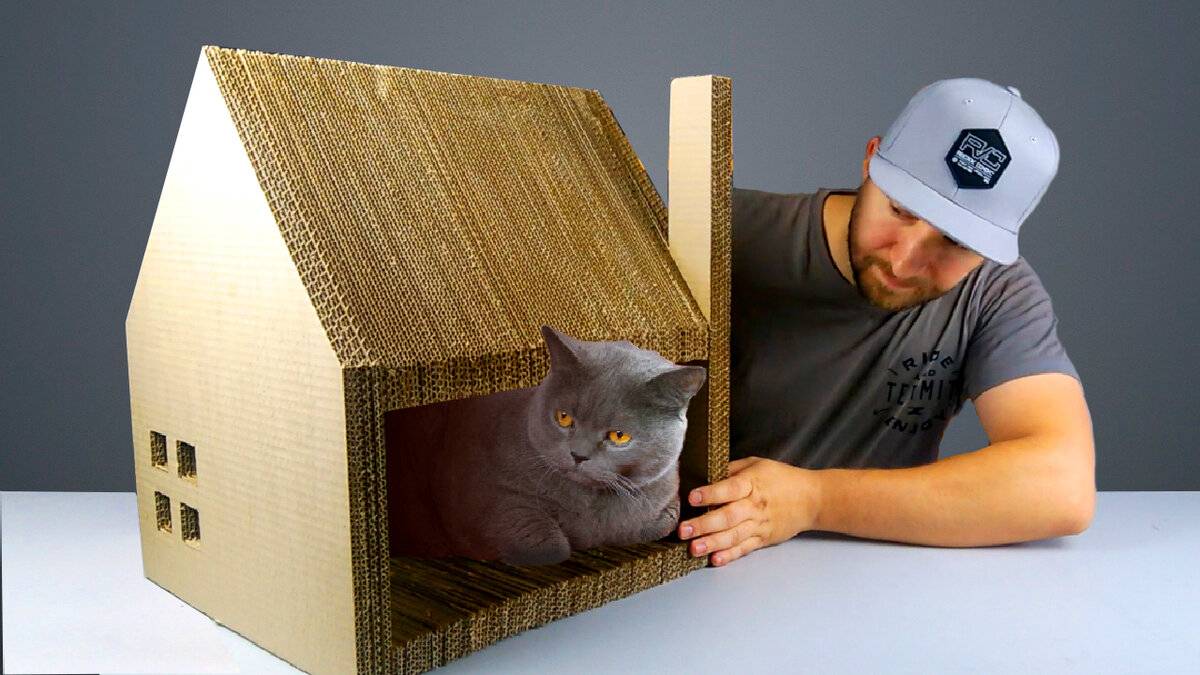 Домик для кошки своими руками из картонной коробки