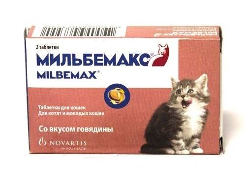 Диронет суспензия для кошек - купить, цена и аналоги, инструкция по применению, отзывы в интернет ветаптеке добропесик