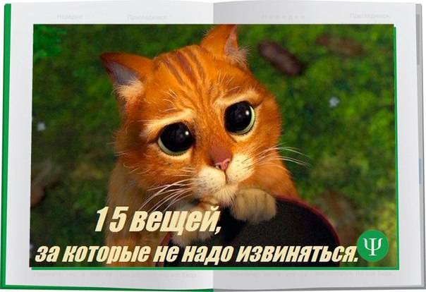 Как помириться с собакой