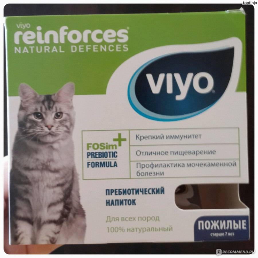 Особенности напитка viyo для кошек