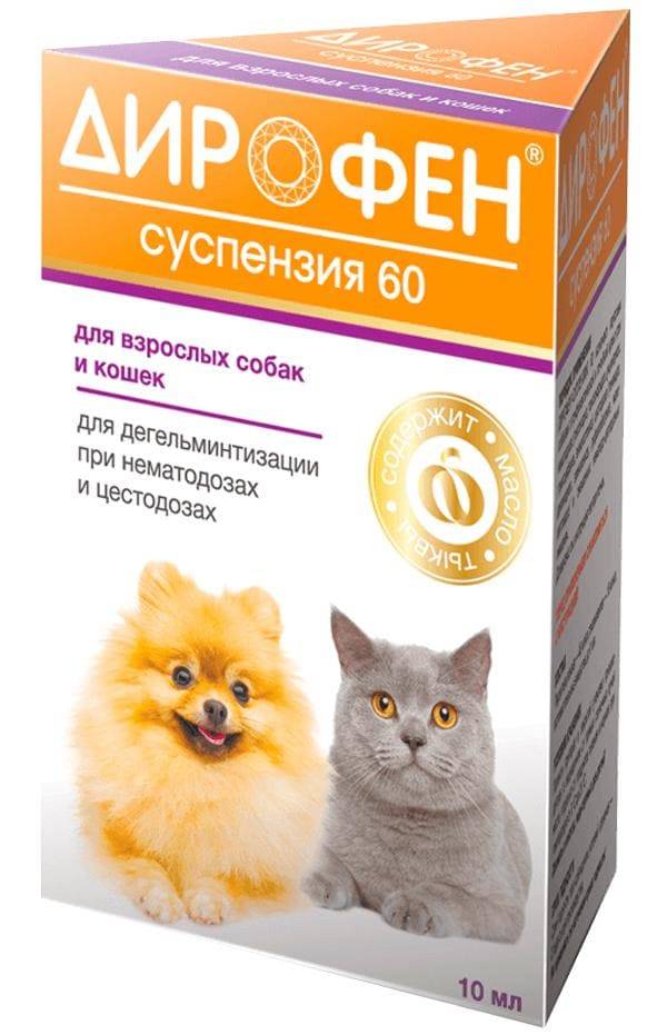 Дирофен (суспензия) для котят, кошек, щенков, собак | отзывы о применении препаратов для животных от ветеринаров и заводчиков