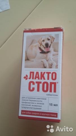 Лакто-стоп для собак: инструкция и показания к применению, отзывы, цена