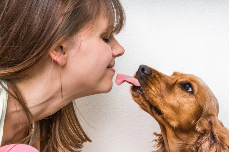 Поцелуй от четвероногого питомца: стоит ли позволять собаке лизать хозяину лицо?