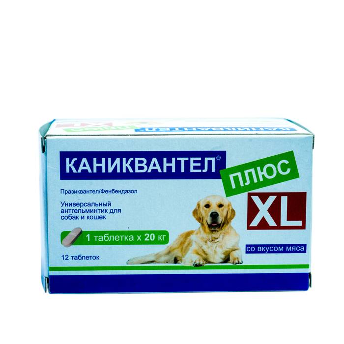 Каниквантел для собак — противогельминтное средство