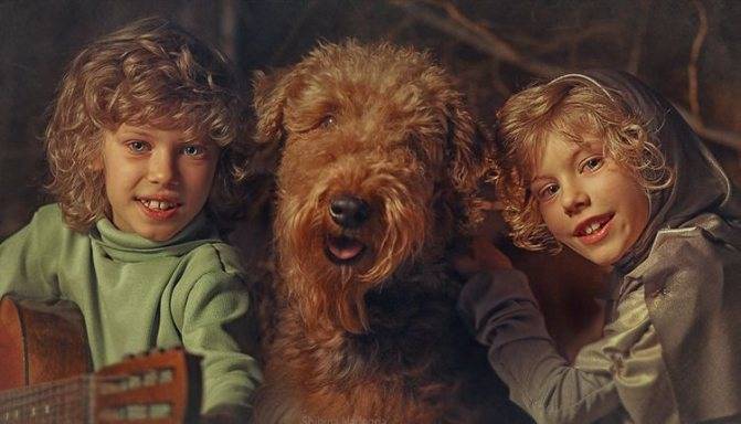 Порода собаки из "электроника": мечта многих детей