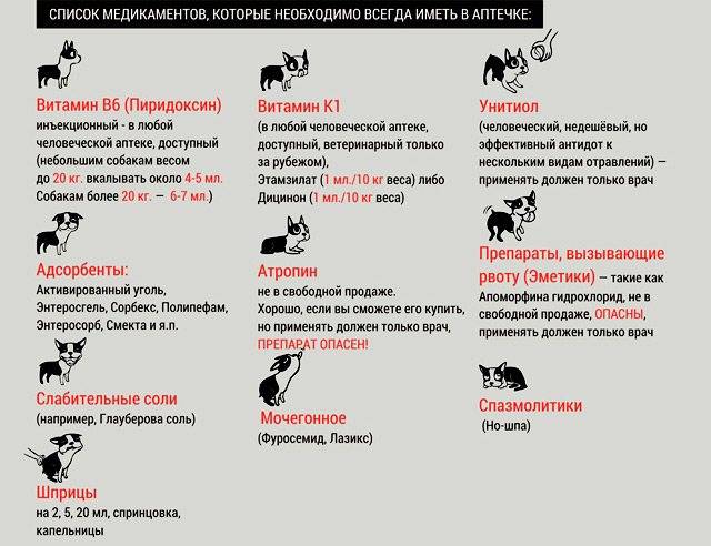 Ядовитые и опасные лекарства/продукты для животных
