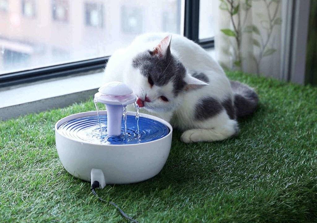 Питьевые фонтаны для кошек