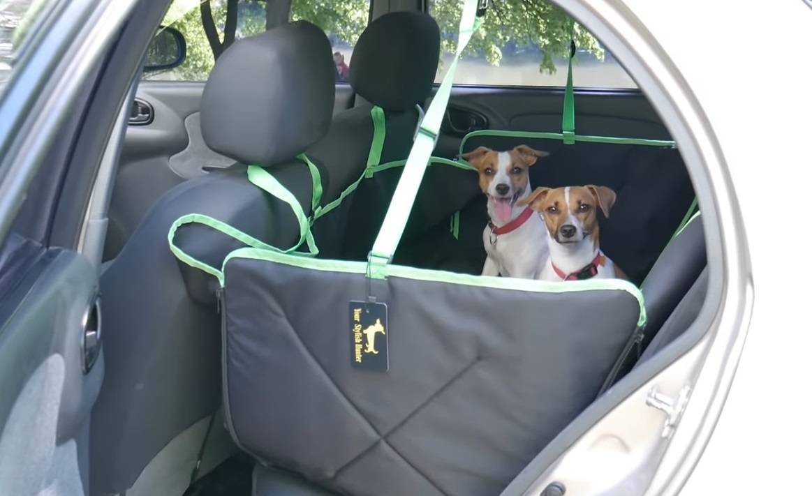 Как сшить накидку для собак в машину