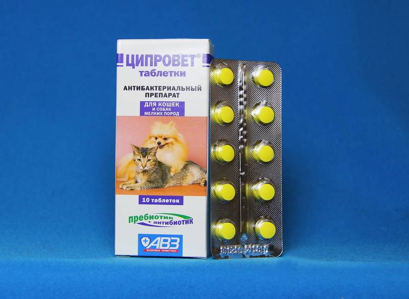 Антибиотики для кур: доксициклин, офлосан, фуразолидон, колистин | золотой гребешок