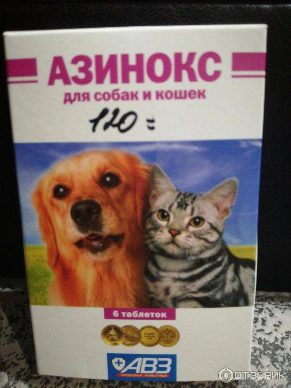 Азинокс для кошек – лекарство от гельминтов