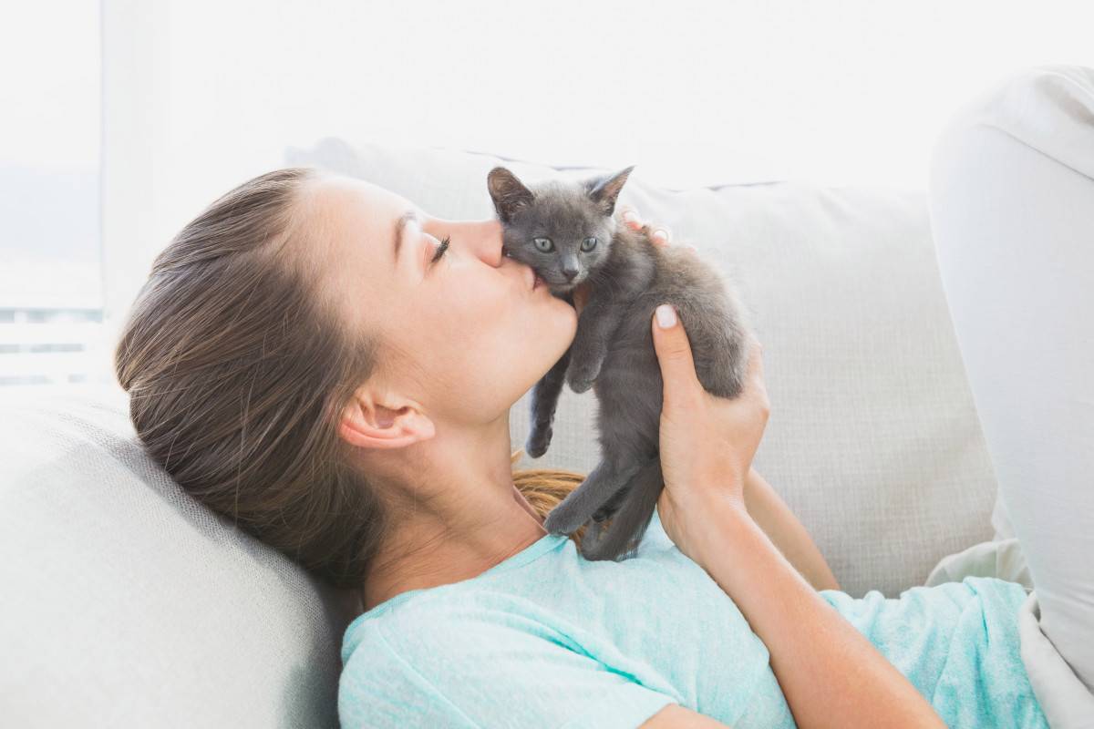 10 научно обоснованных причин завести кота