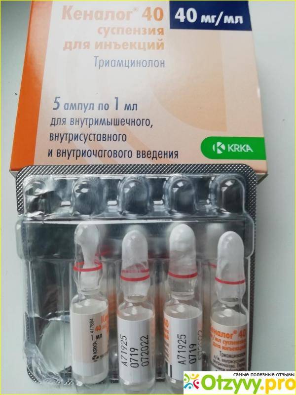 Синулокс 50 250 500 антибиотик для кошек и собак инструкция по применению лекарства 
синулокса суспензии в ветеринарии дозировка отзывы