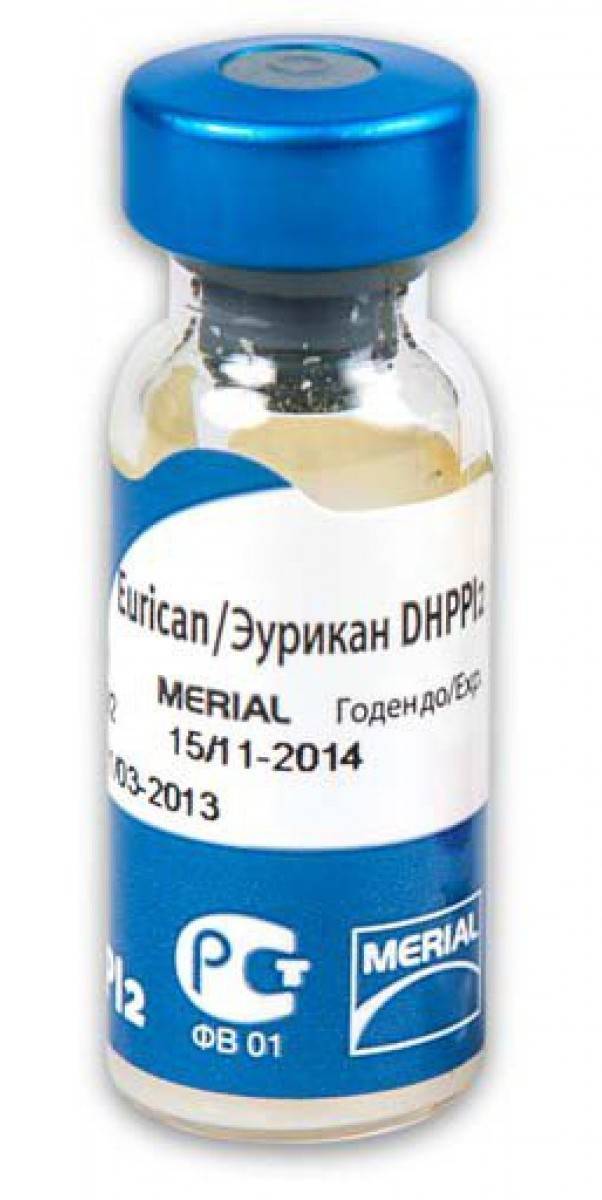 Вакцина для собак merial эурикан dhppi-l, (1 д) - цена, купить онлайн в санкт-петербурге, интернет-магазин зоотоваров - все аптеки