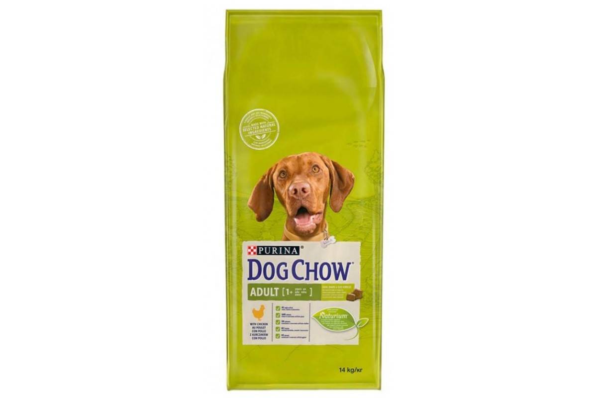 Корм для собак dog chow: отзывы, разбор состава, цена - петобзор