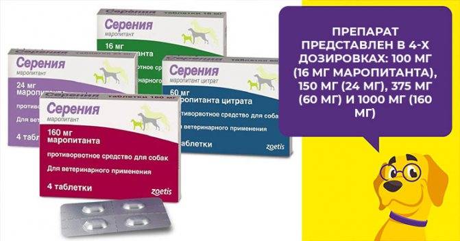 Серения (cerenia), таблетки для собак против рвоты