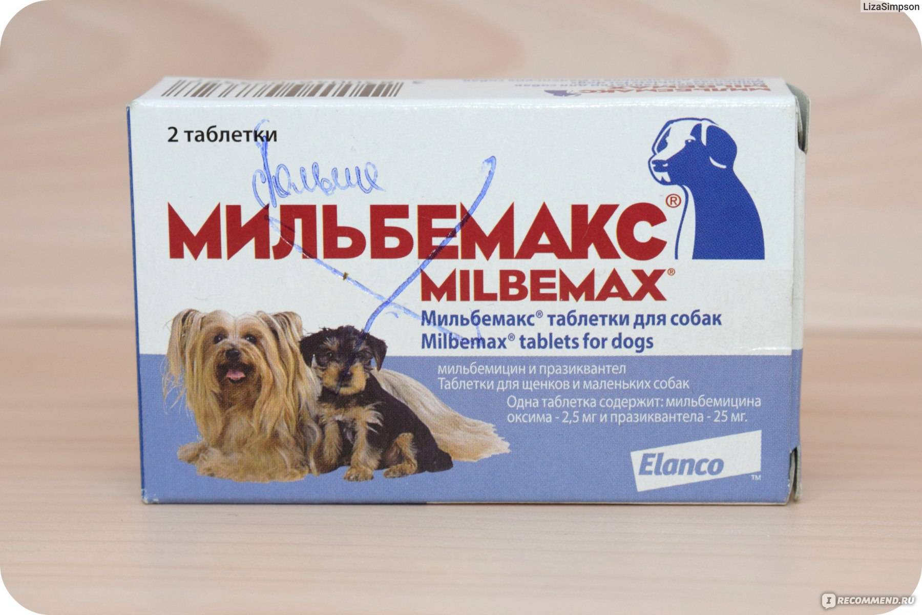Дипентавак для собак: инструкция по применению отечественного препарата