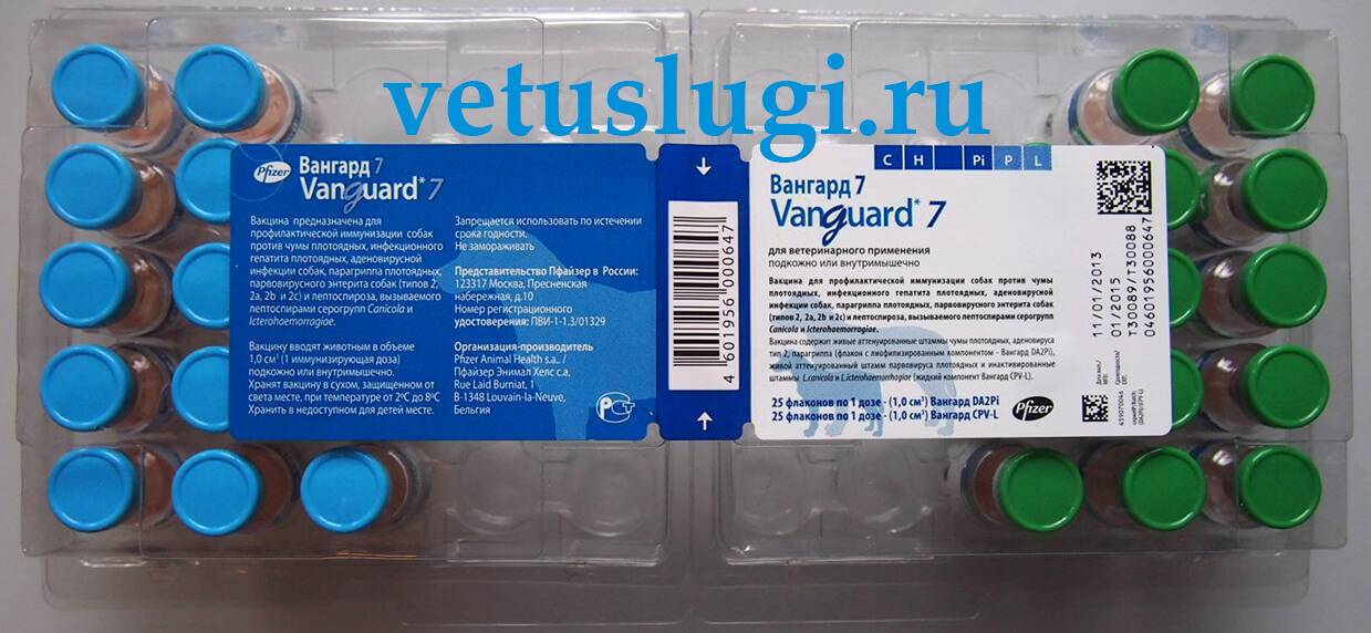 Прививка вангард для собак и щенков │ для прививок используется вангард 5 и 7