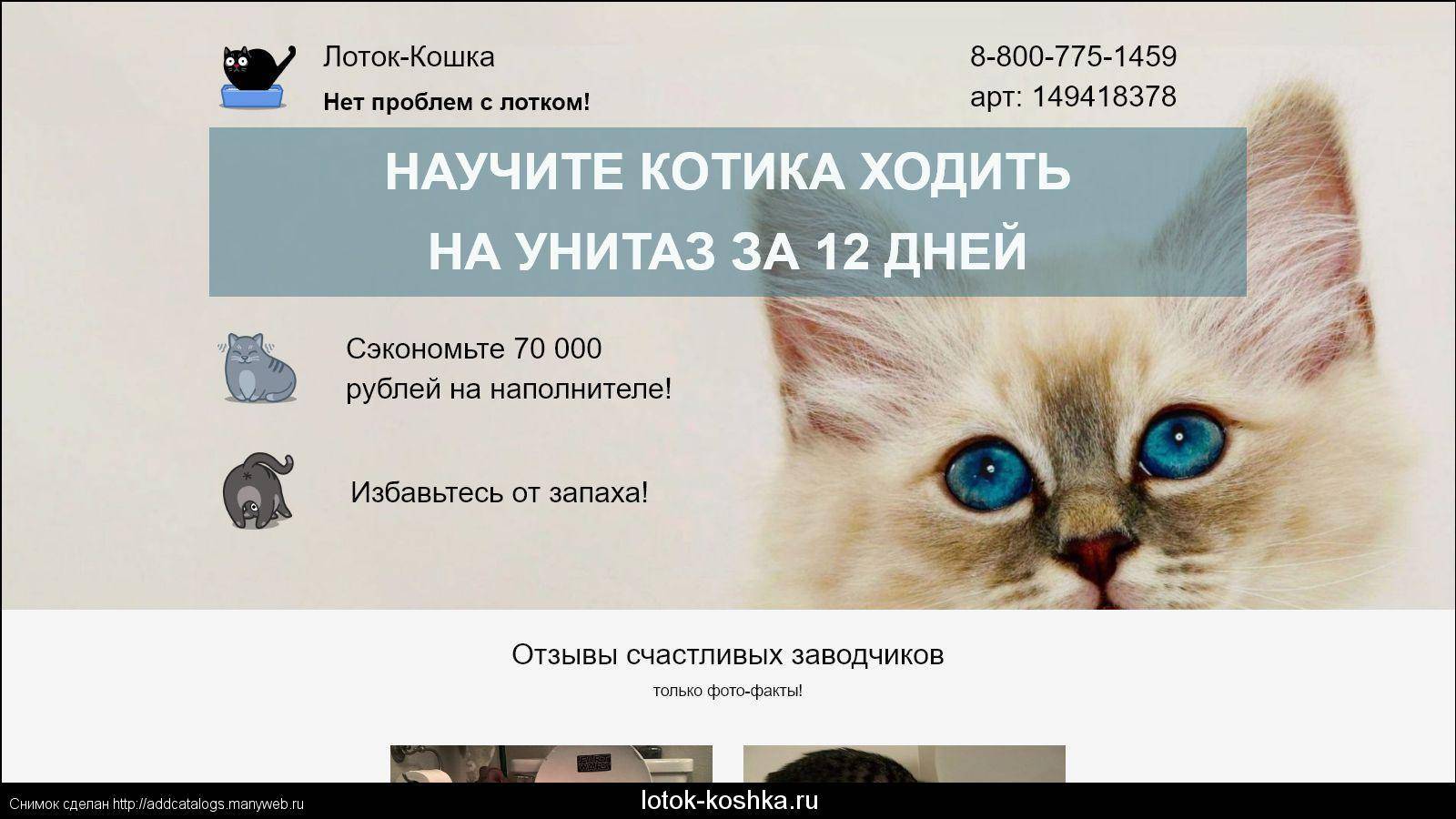 Почему кошка перестала ходить в лоток и как исправить ситуацию