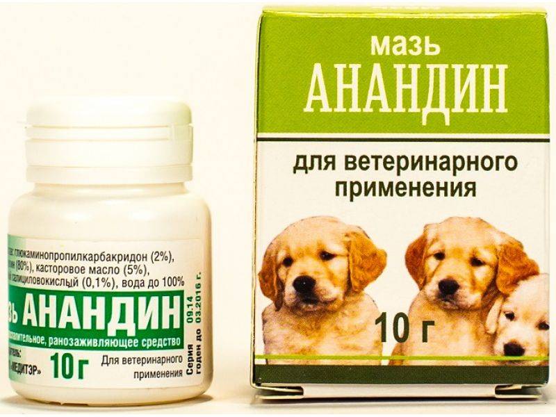 «анандин» для собак: показания, форма выпуска, применение